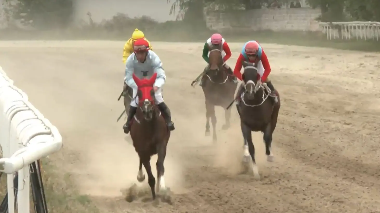 beogradski hipodrom-68d98147a628f.webp