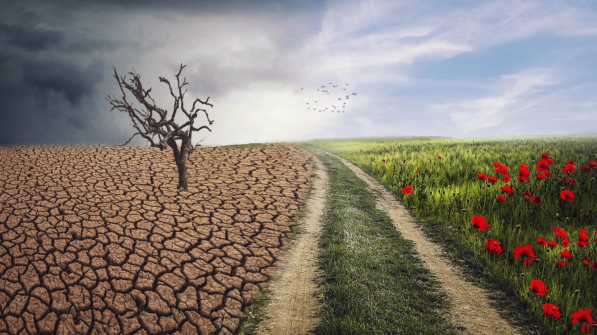 klimatske promene pixabay (3)-68c9be46cda04.webp