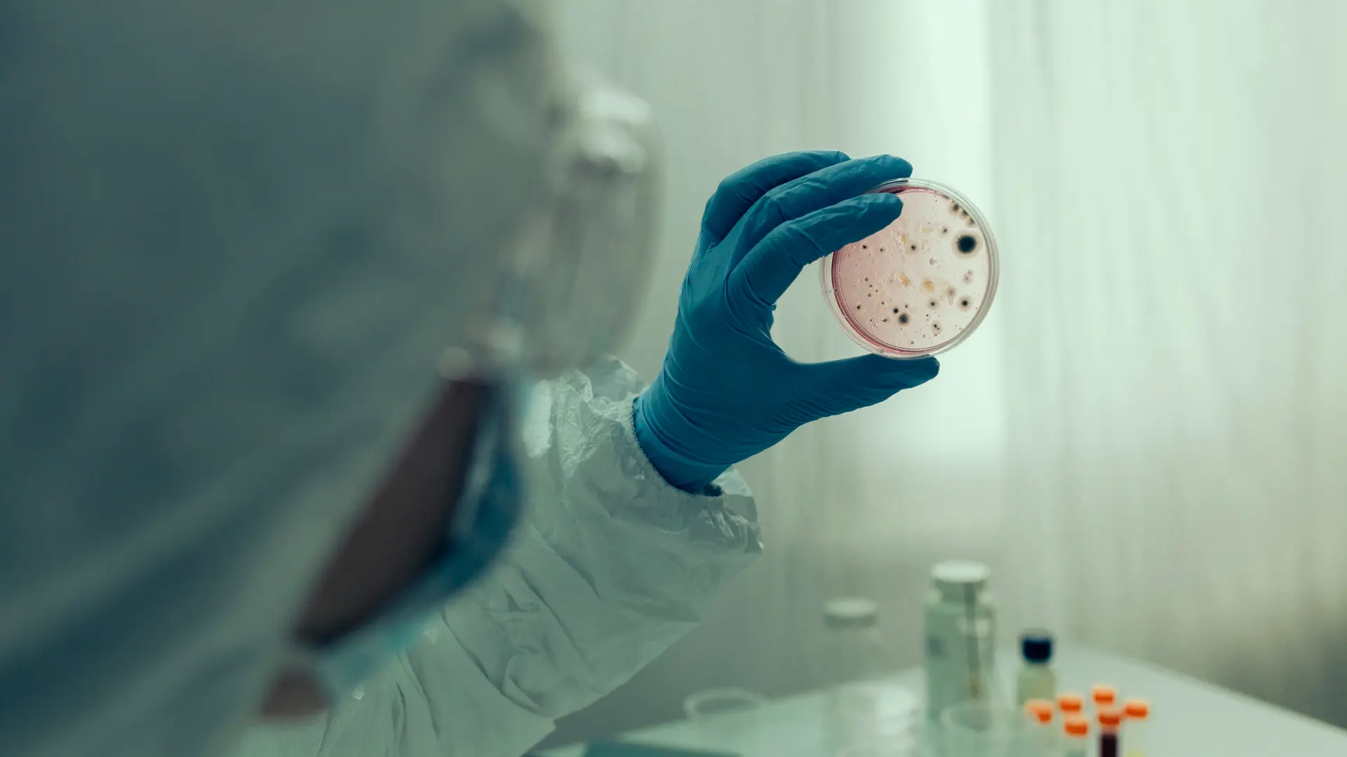 shutterstock_1556490884 kolera virus zaraza bolest laboratorija-68cd532640f18.webp