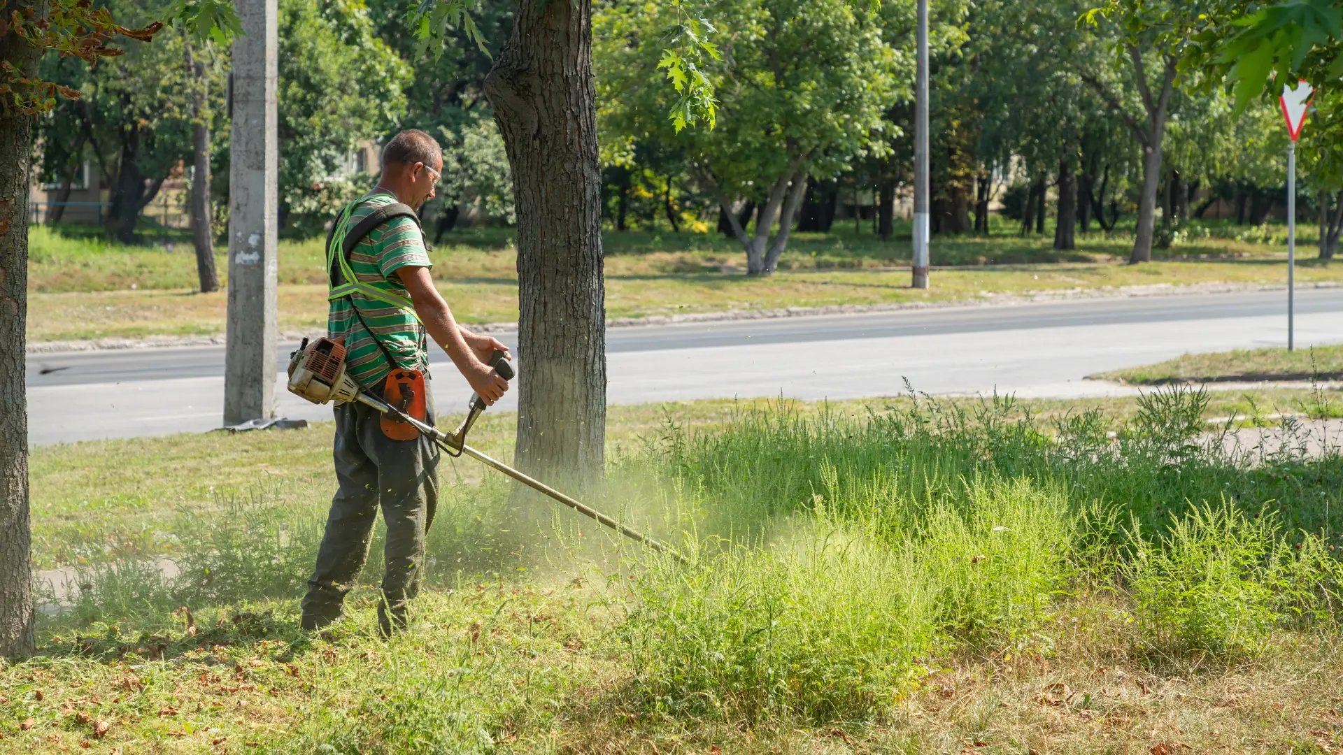 shutterstock_2357291643 ambrozija košenje trave  alergija-68bfe8c93956c.webp