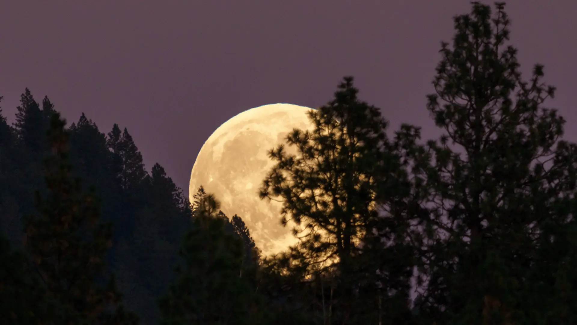 AP PhotoTed S. Warren pun mesec supermesec horoskop-68e4d47b86e66.webp