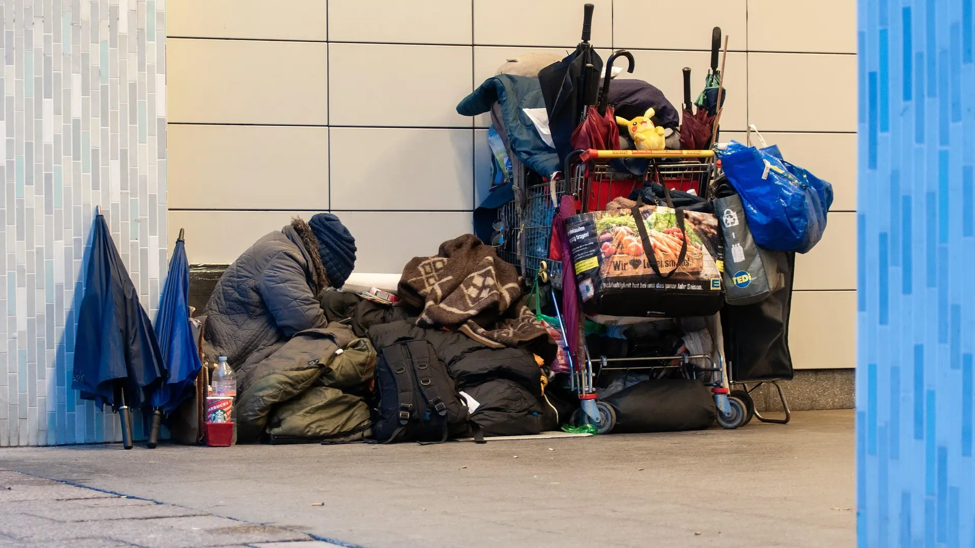 beskucnik siromastvo nemastina pixabay-68f257ba36628.webp