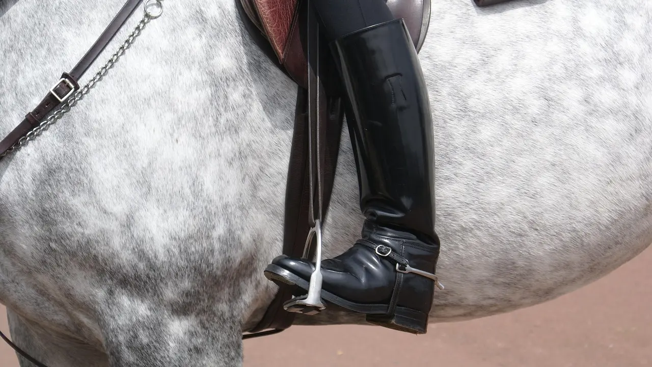 čizme, pixabay-68f2651cb32a6.webp