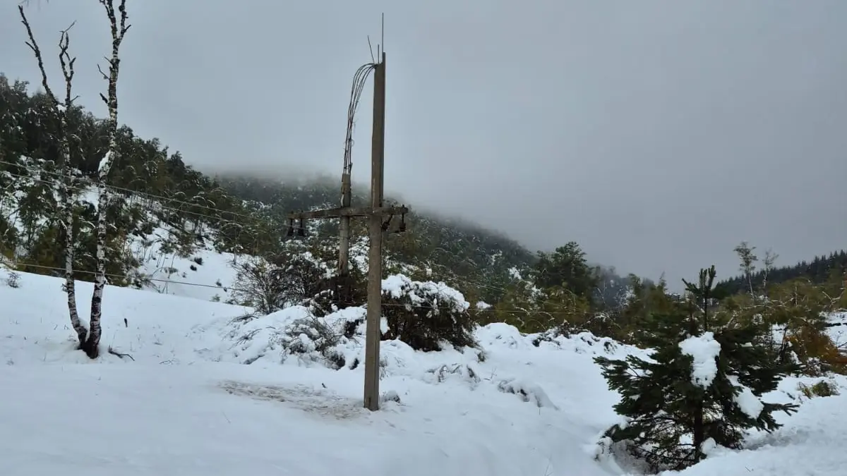 crna trava, sneg-68e16899abc29.webp