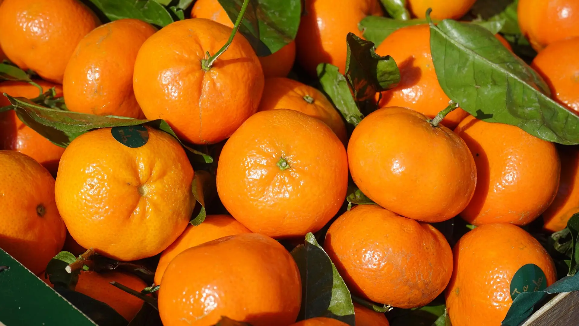 klementina mandarina pixabay mandarine-68f365db669de.webp