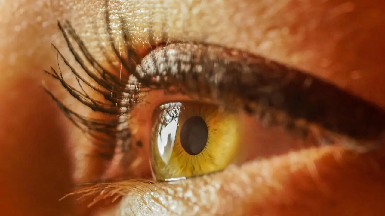 oči, boja očiju-68ed21645341b.webp