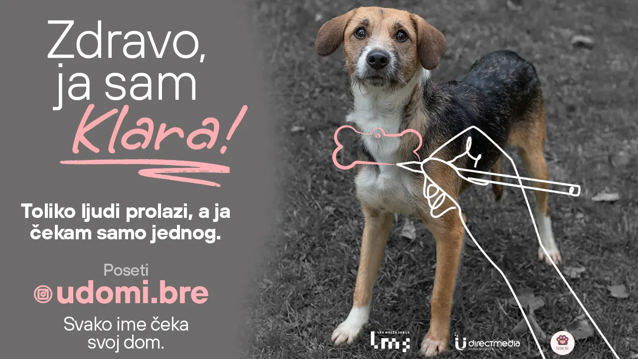 promo, pas, direct media-68fa141932509.webp