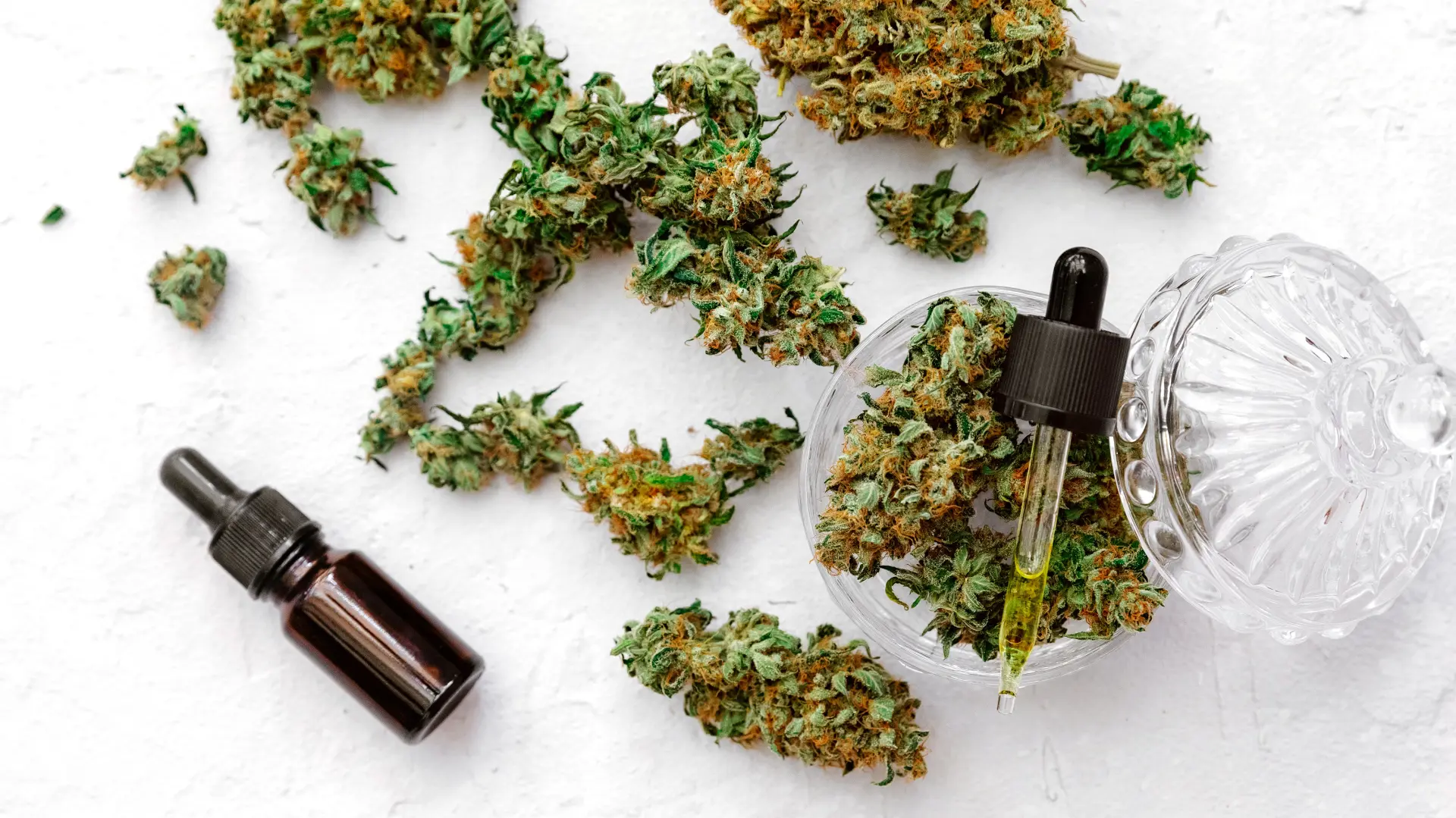 shutterstock_1682305759 kanabis marihuana medicinska kanabis ulje marihuane-68de3ff5518c6.webp