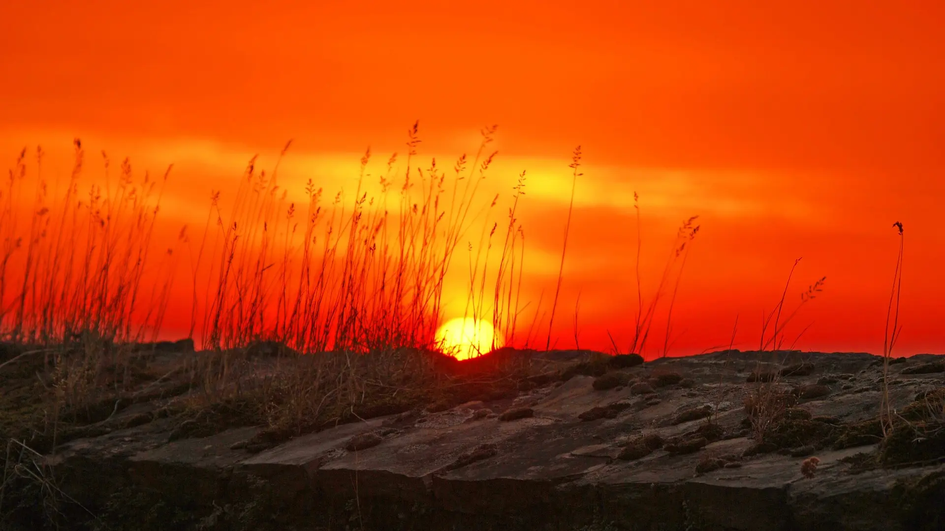 sunce horoskop nebo golden hour-68f207005a8e7.webp