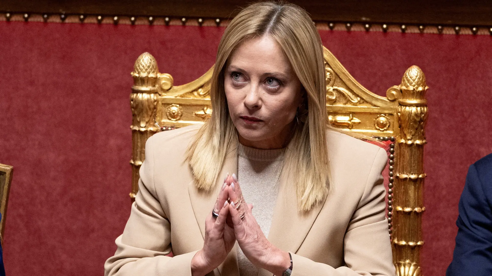 Đorđa Meloni-69209f01271fe.webp