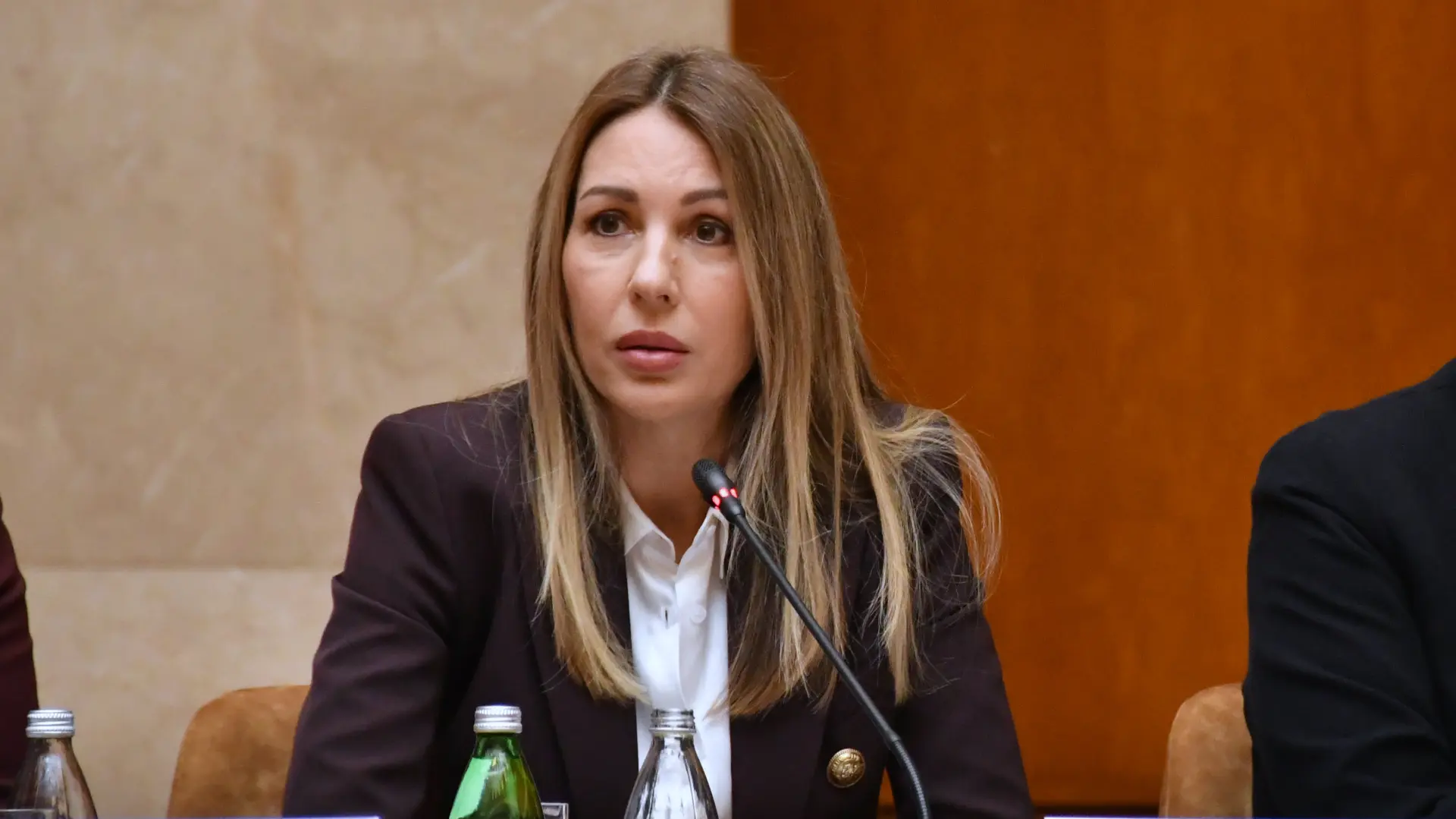 Dubravka Đedović Handanović-691ae65c66e1b.webp