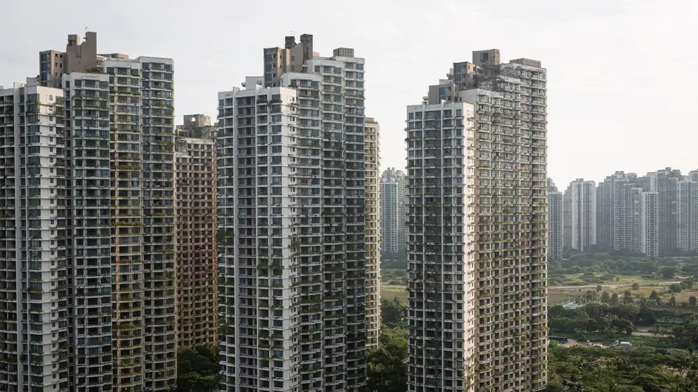 Forest City, Shutterstock-6910c23097841.webp