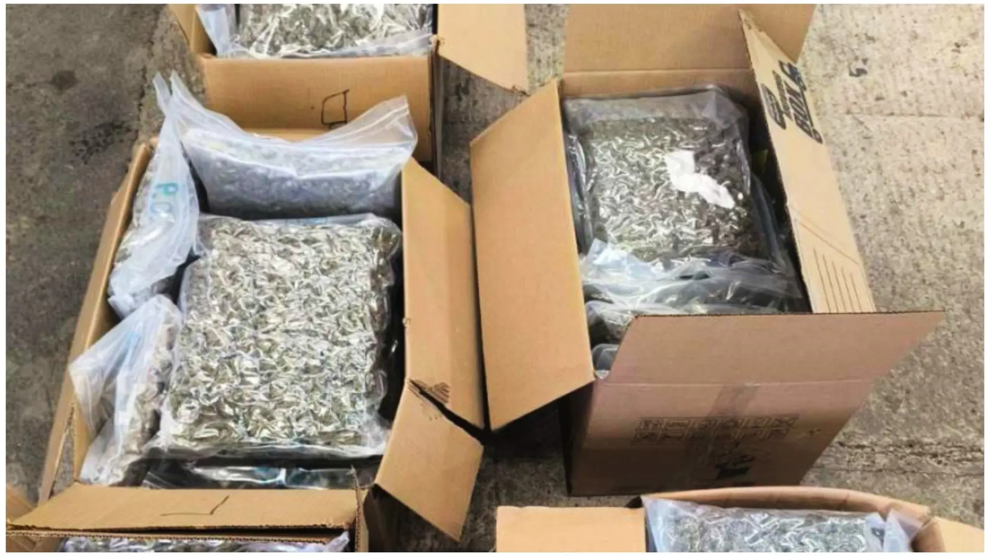 MUP, zaplena marihuane, granični prelaz Šid-692c2d95d6536.webp