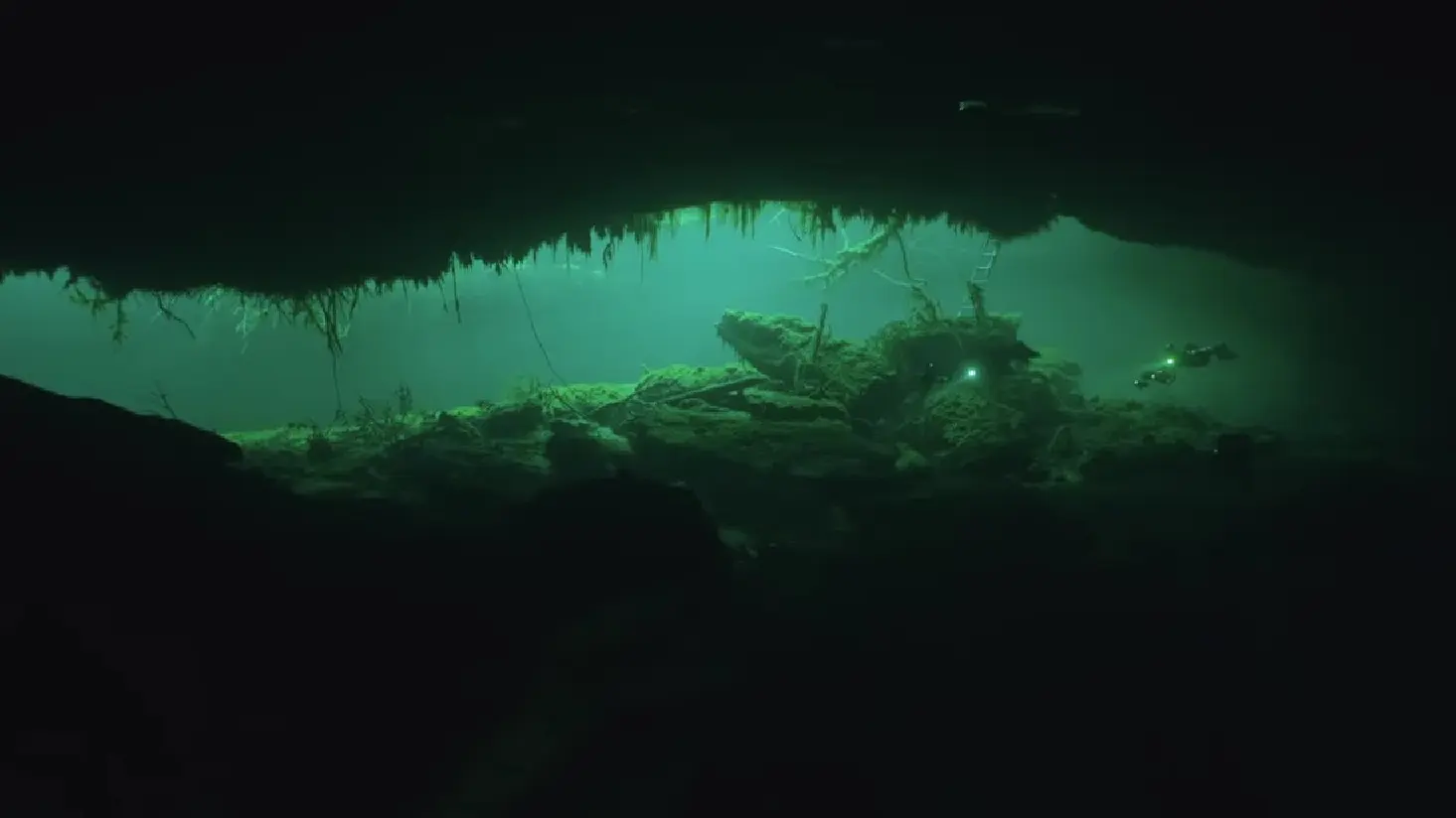 Ox Bel Ha-692ca90c204d7.webp