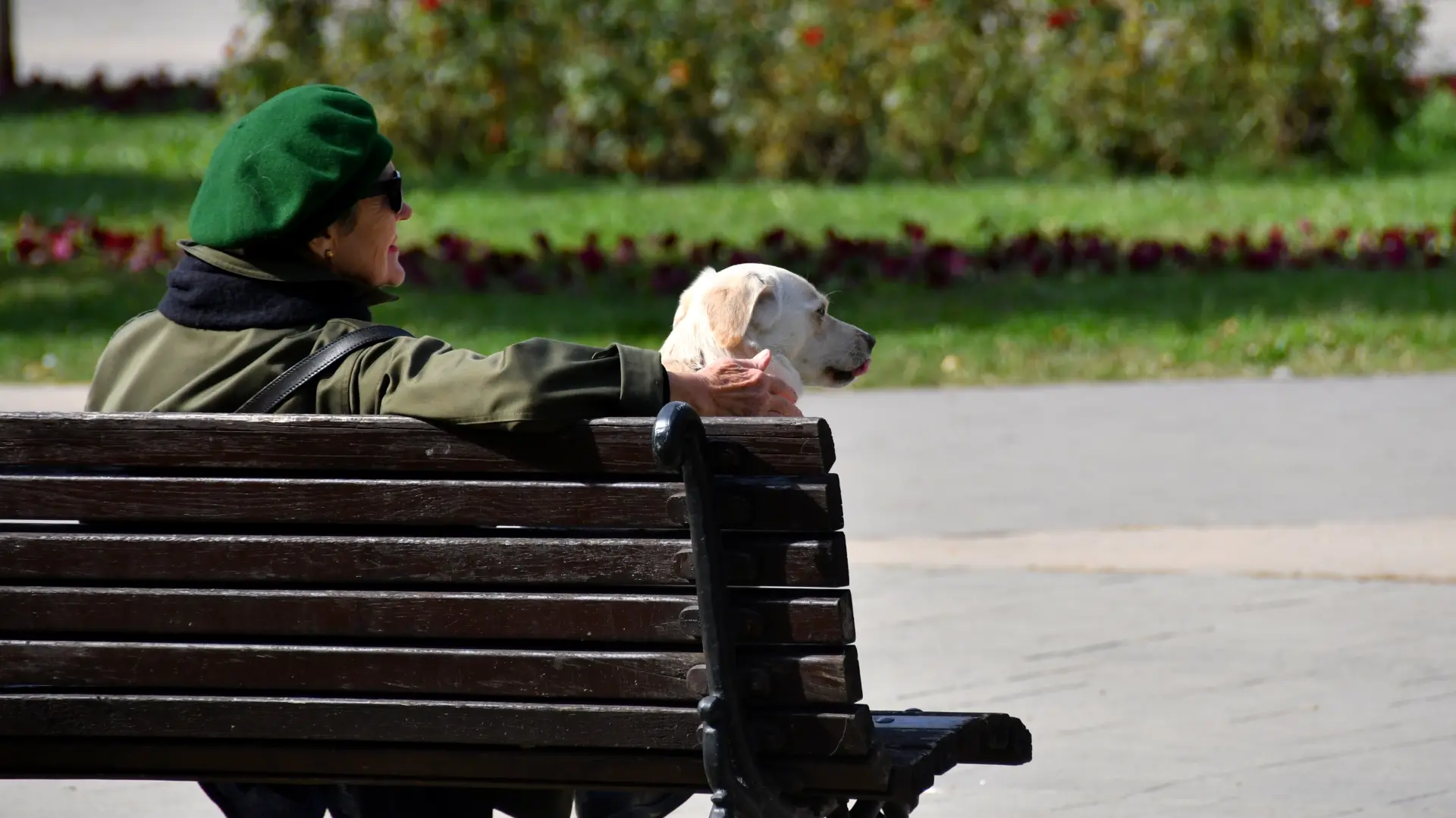 TANJUG, jesen, vreme, sunčano, sunce, lepo vreme, vremenska prognoza, miholjsko leto-690b2f6699b14.webp