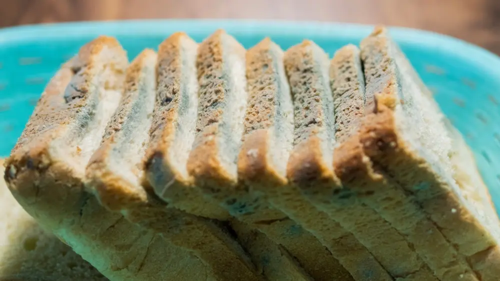 buđav hleb, shutterstock-6924b4b1a7dd9.webp