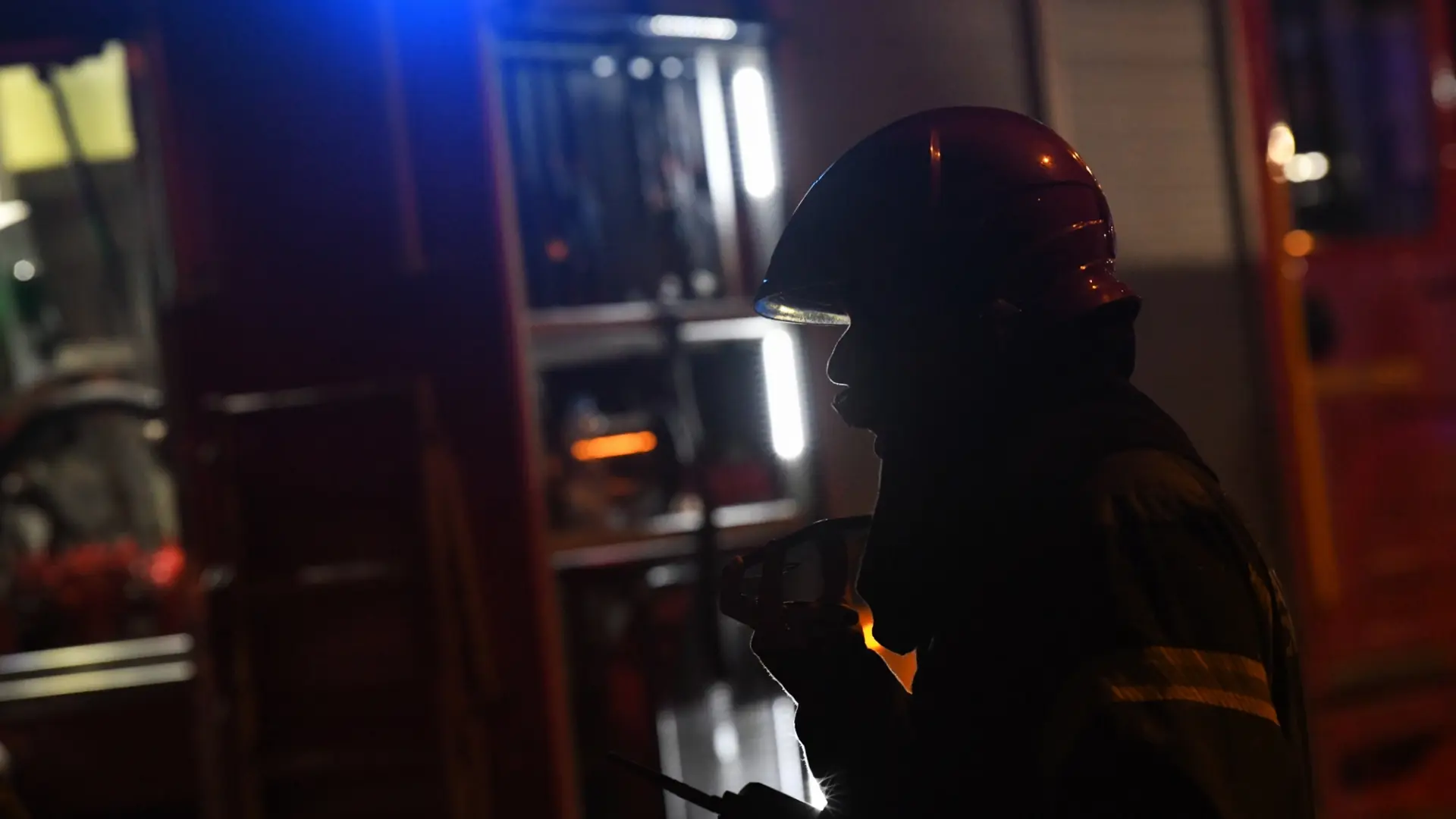 lokalizovan požar na senjaku, beogradski vatrogasci u beogradu - 15 nov 2025 - TANJUG AMIR HAMZAGIĆ (4)-6918cace268a9.webp