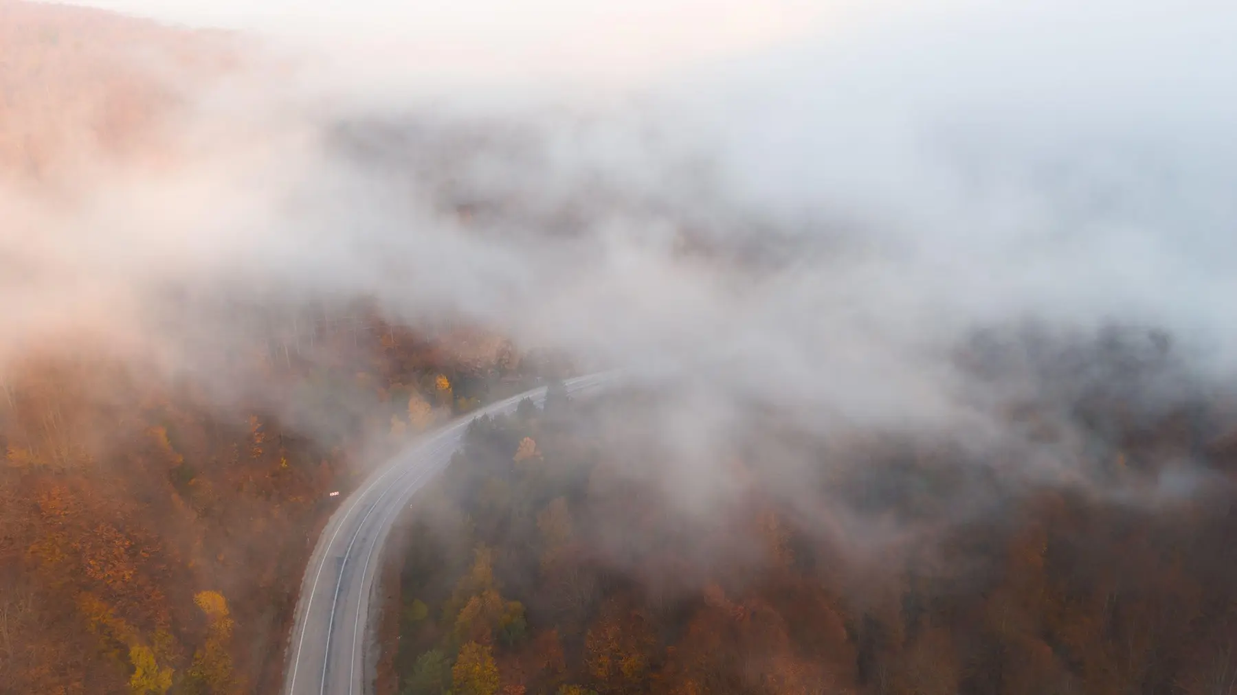 magla - profimedia-1051774213-691453e9576f0.webp