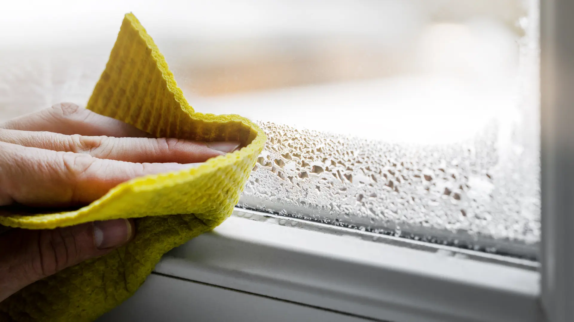 shutterstock_2228676751 kondenzacija vlaga prozor brisanje-69244b6096d0d.webp