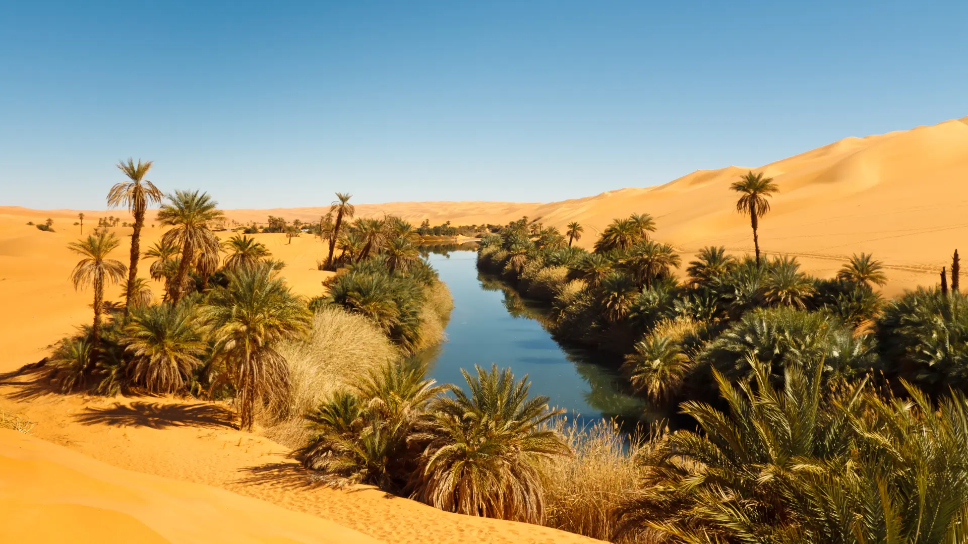 shutterstock_72697231 oaza sahara pustinja-6909c9df7ae32.webp