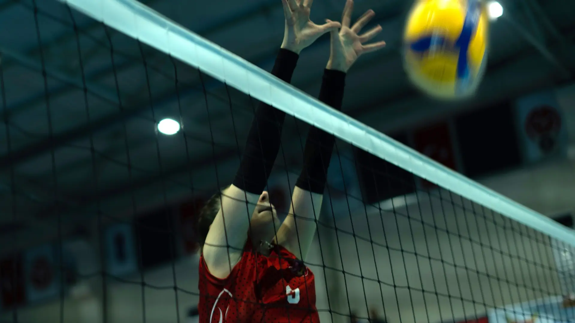 ženska odbojka, odbojkašica - shutterstock_2392183279-694d8d887560a.webp