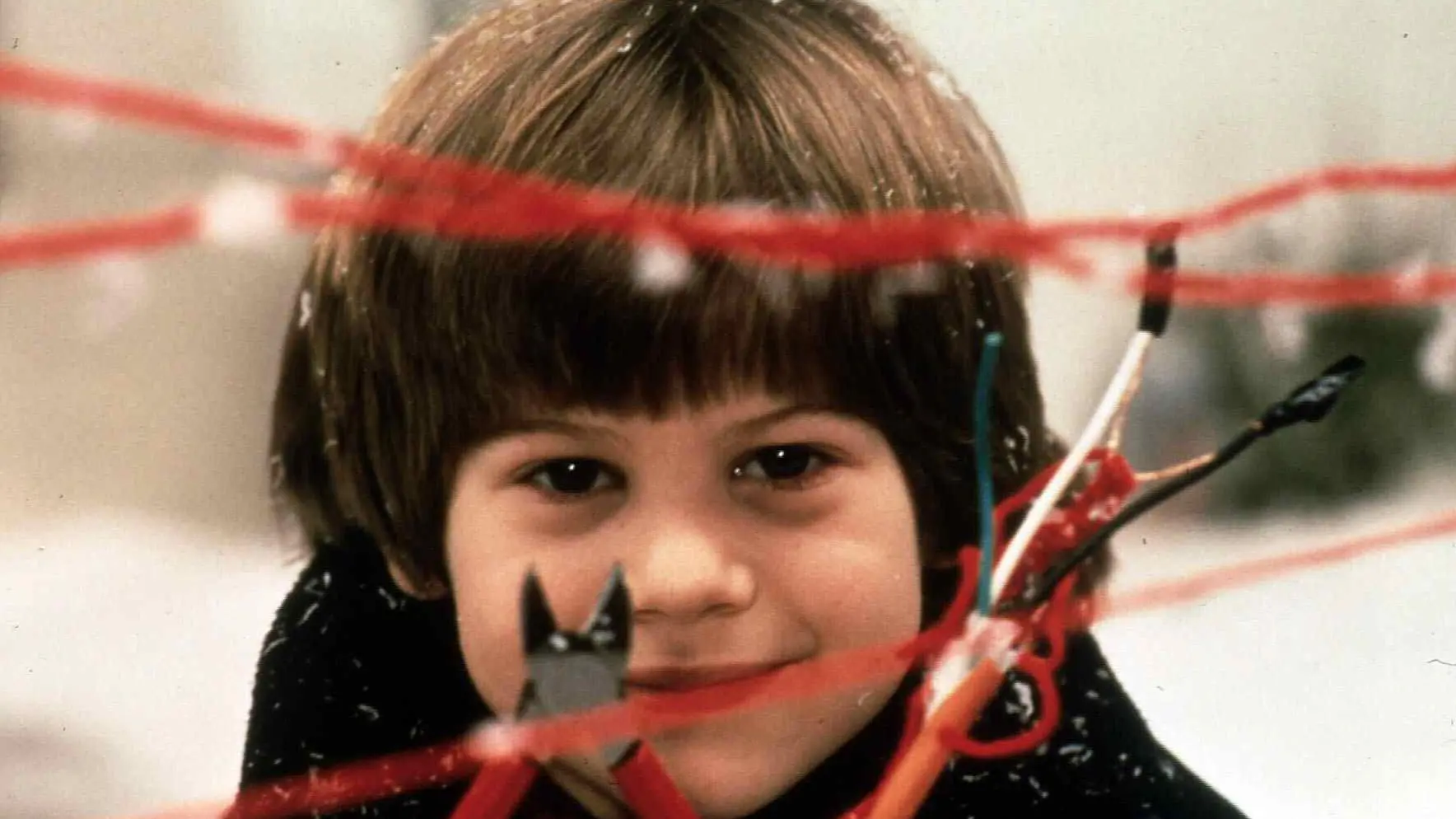 Aleks D. Linc profimedia-0144968526-6947a57563a5d.webp