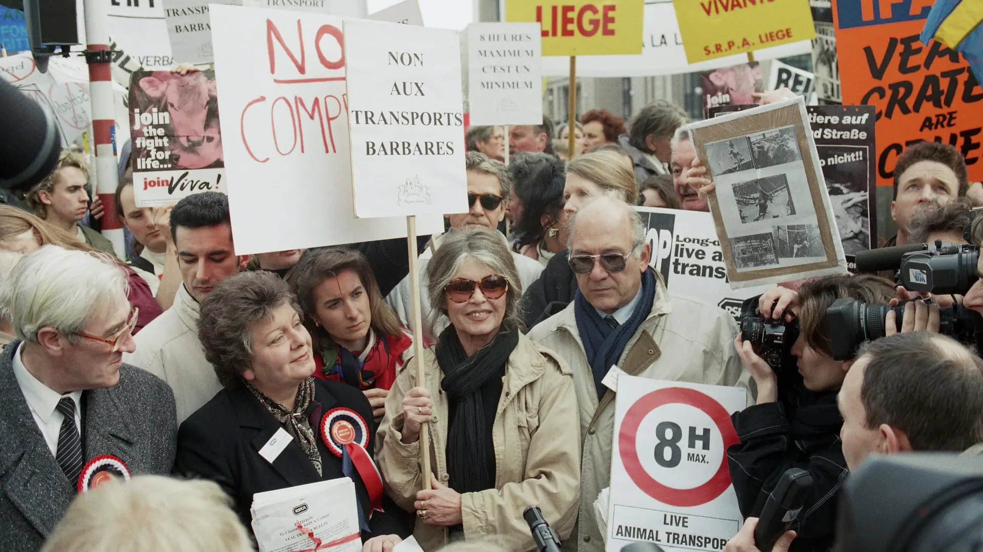 Brižit Bardo-69511d122fbb6.webp