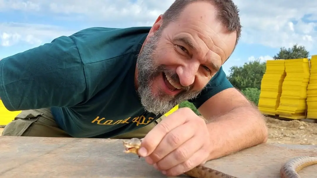 Instagram printscreen, jezdicrakija nenad jezdić-693a9a028af46.webp