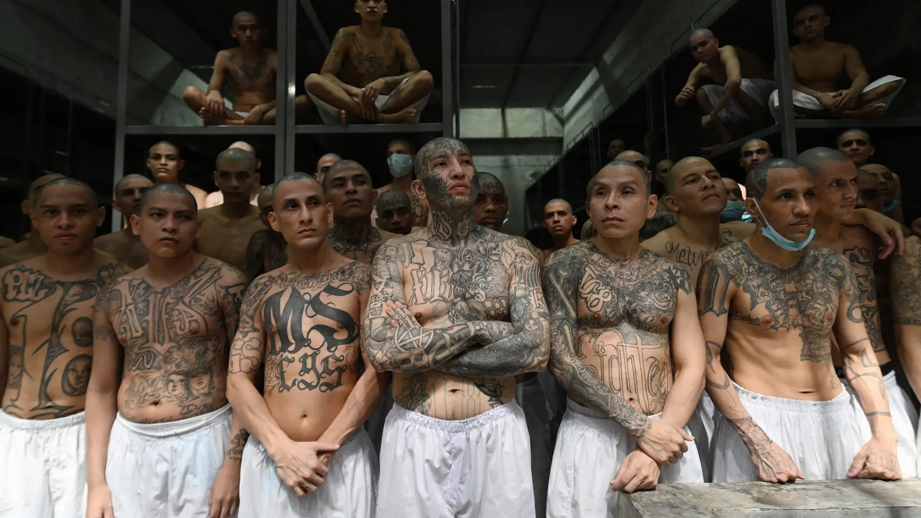 Kriminalna grupa MS-13 profimedia-1060926999-69491a29c3b8f.webp