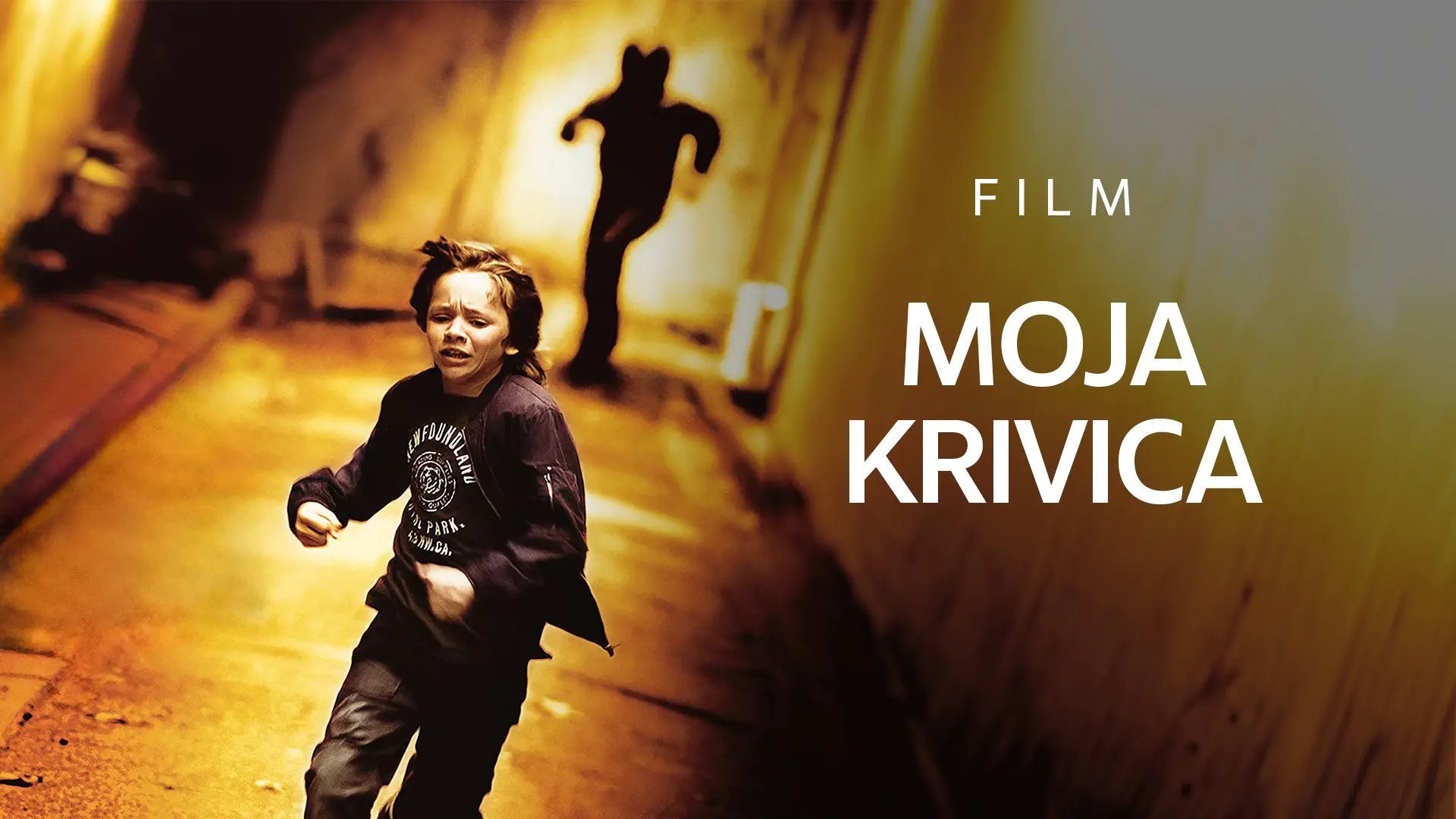 MOJA KRIVICA-6931ae71ee0de.webp