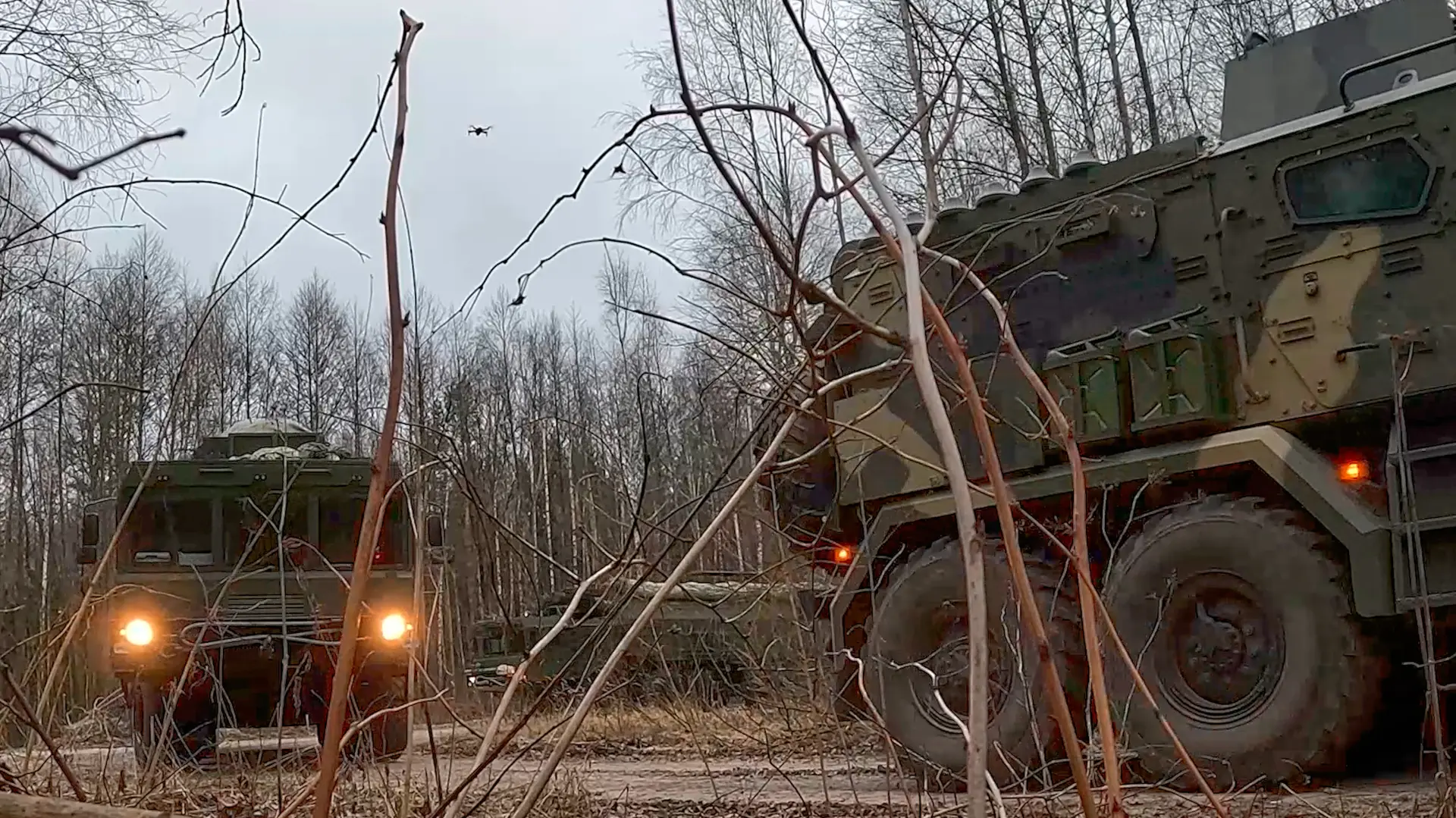 Orešnik Belorusija-69539617d34a0.webp