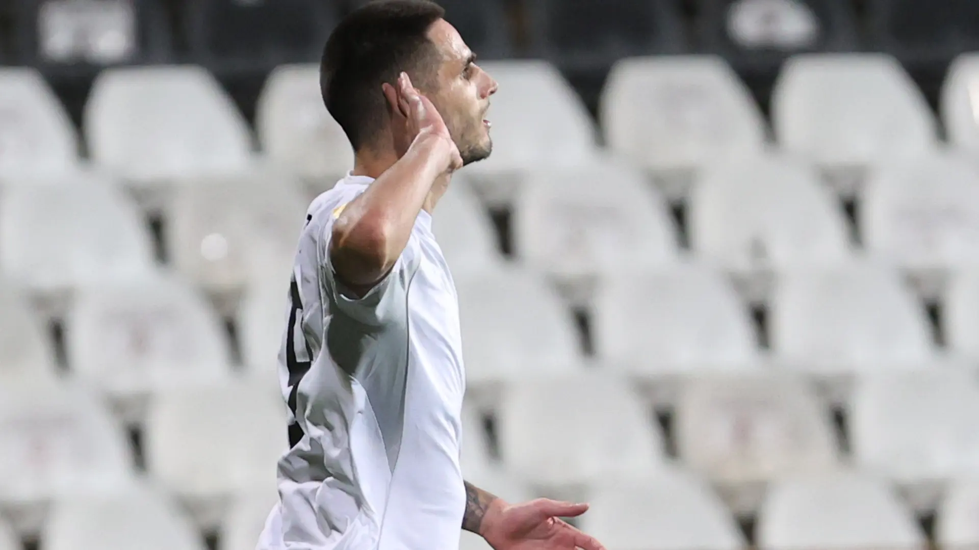 Slobodan Tedic, FK Čukarički-693a9ff8f0438.webp