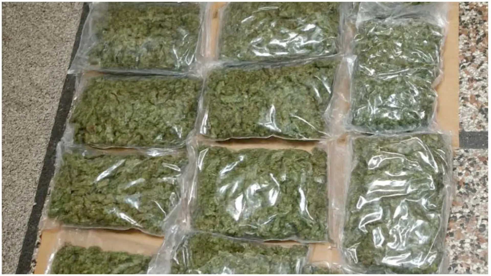 TANJUG, MUP, zaplena droge u prokuplju (3)-692fe0b40400d.webp