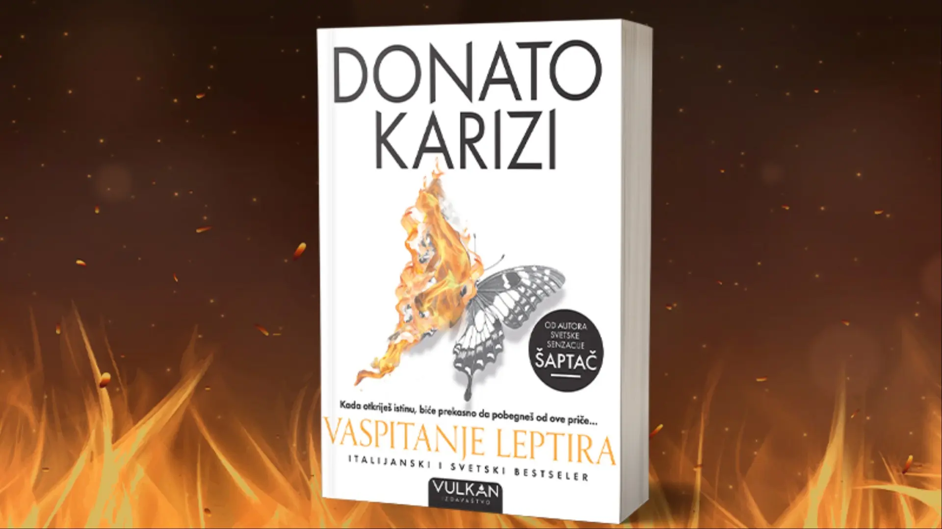 Vaspitanje-leptira-Karizi (2)-694d2c03ea9fa.webp