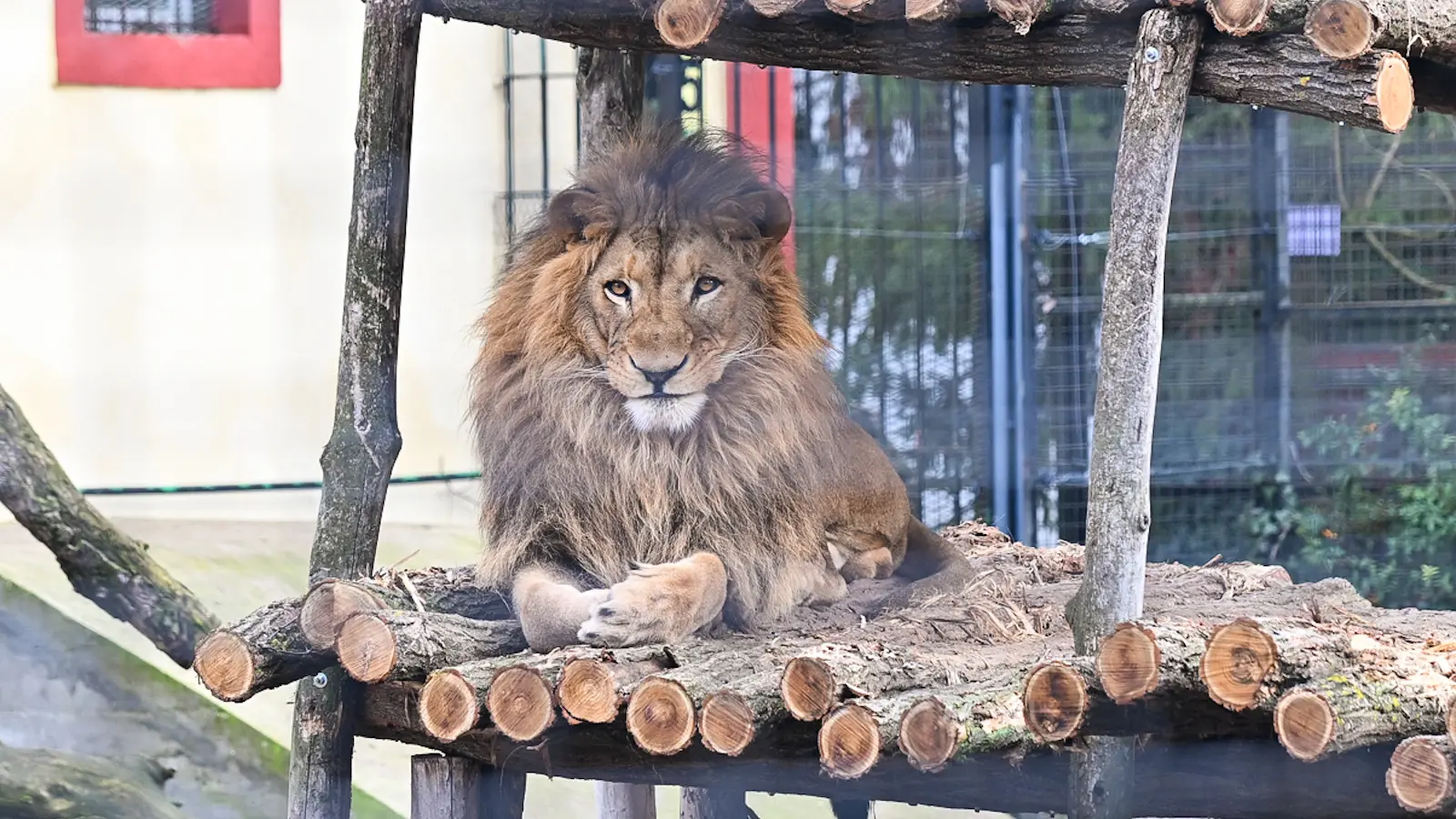 ZOO vrt Palić-694699237a55f.webp