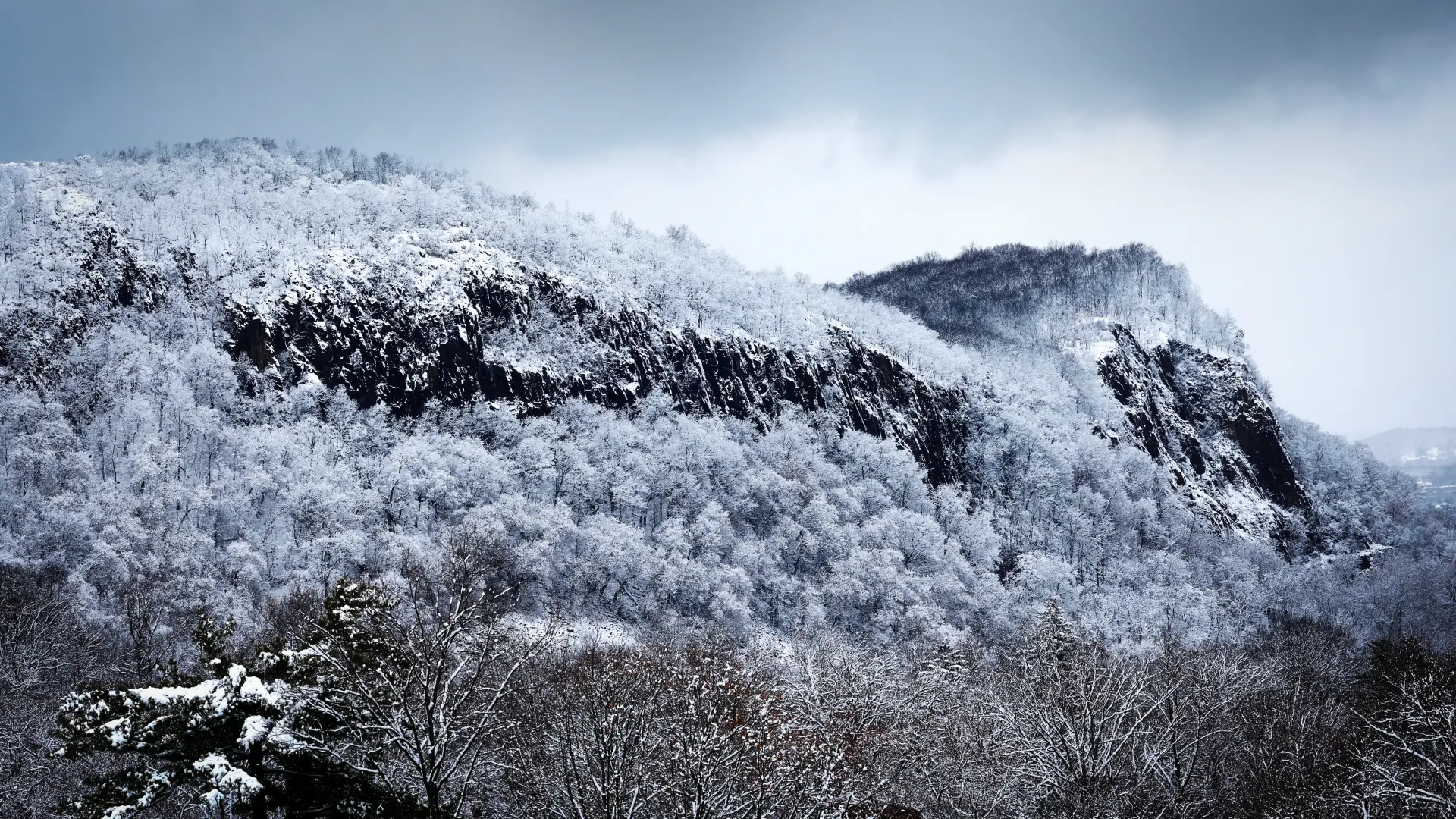 ledeni talas u državi njujork, 14 dec 2025 - Reuters-693f1c4c4ae8a.webp