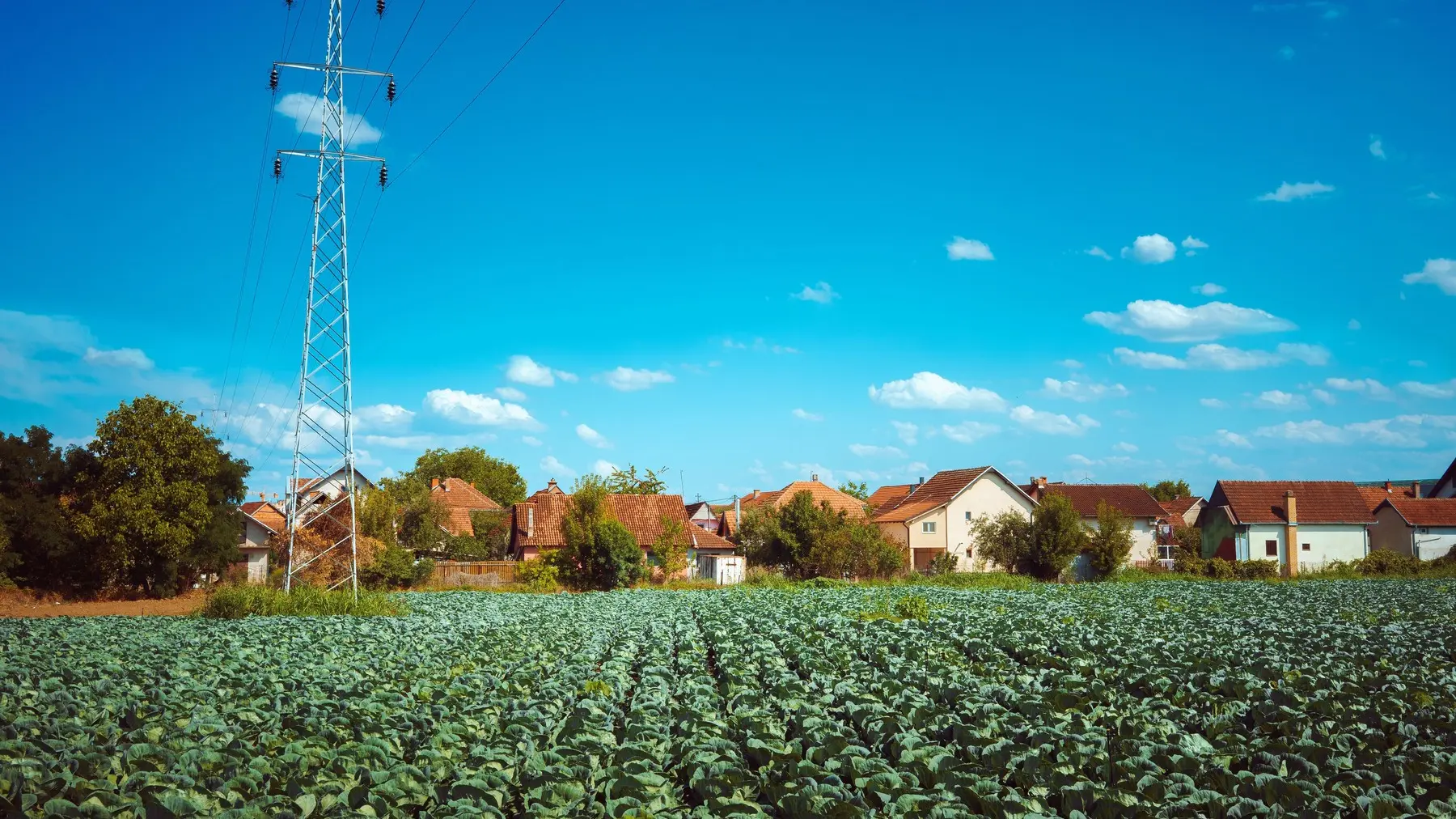 profimedia, selo, livada, kuća na selu, priroda-69414ac338f70.webp