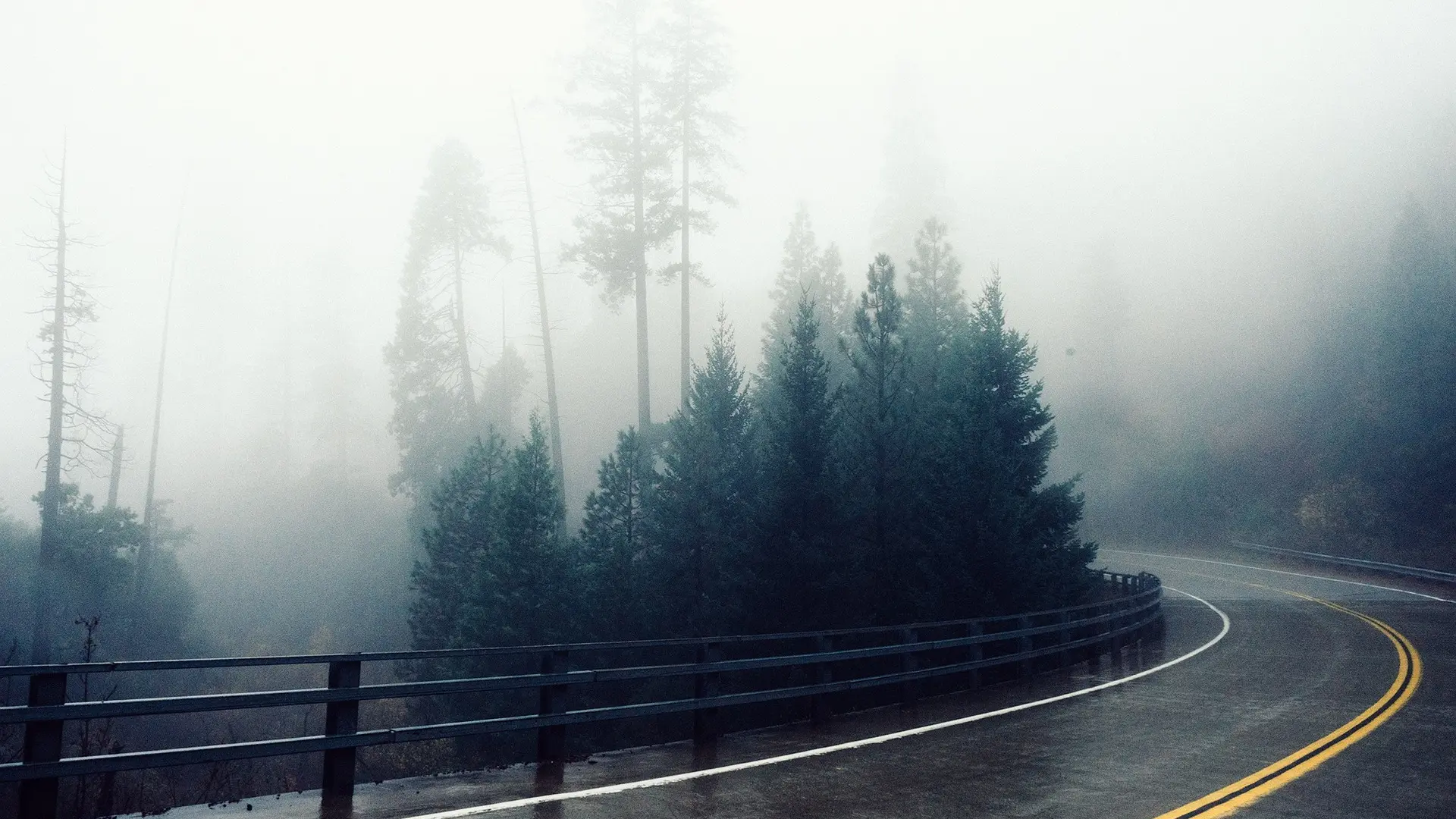 put putovanje magla suma zima pixabay-693298dce87a0.webp