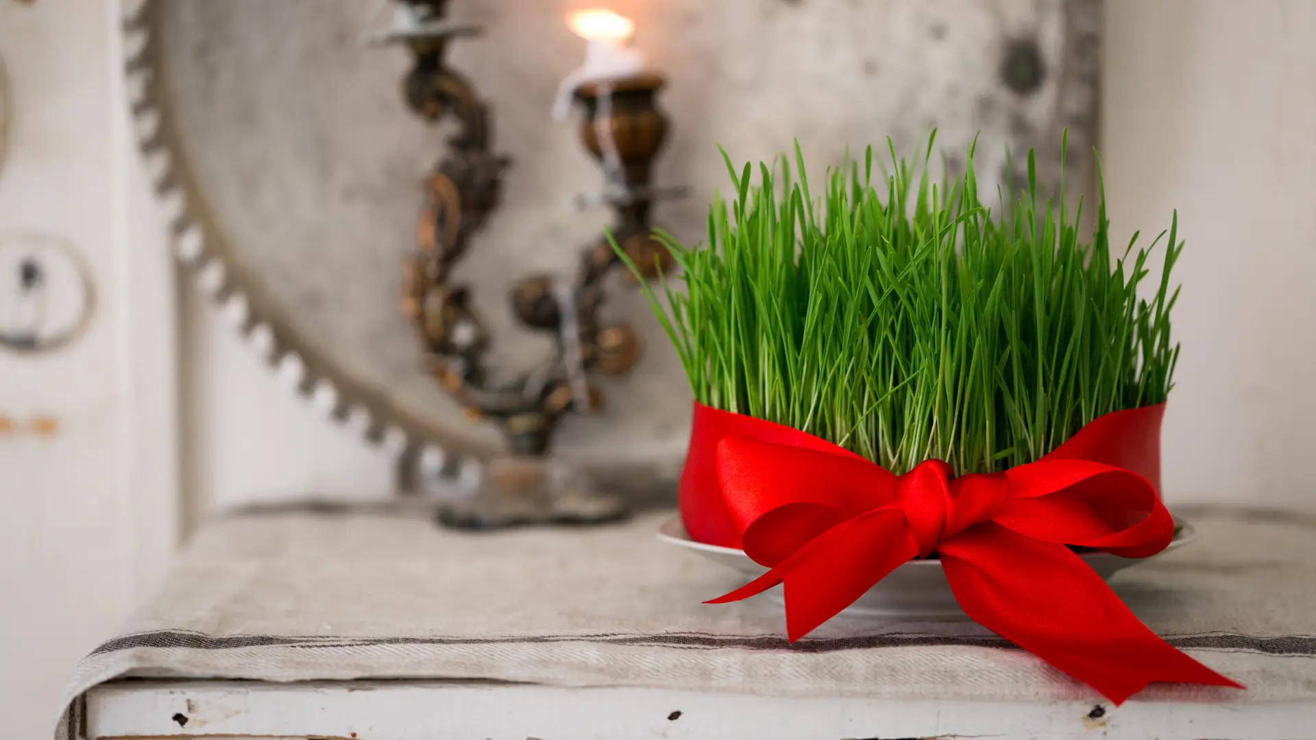 shutterstock_1622349862 božićno žito božić praznici trpeza-693bd3b9e3349.webp