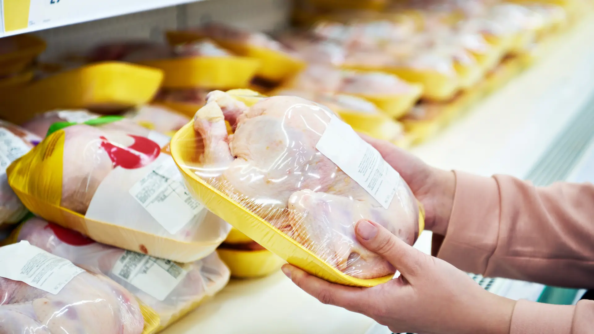 shutterstock_1659617218 kupovina market piletina piletine celo pile meso pileće meso u marketu prodaja-6933fb931e9d8.webp