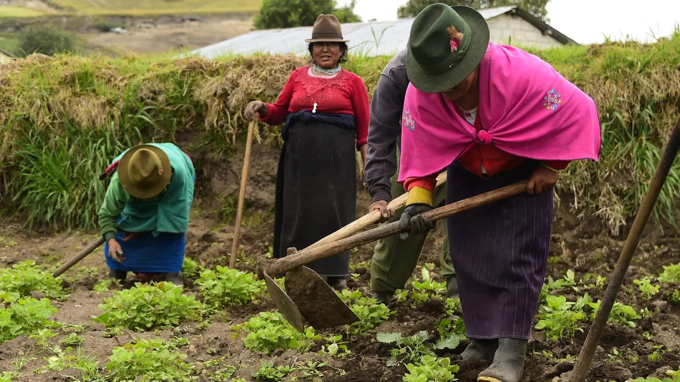 zajednica kičva, ekvador, andi, ljudi iz zajednice kičva, andska čakra - 2017 - profimedia-0313040889-693efc1622686.webp