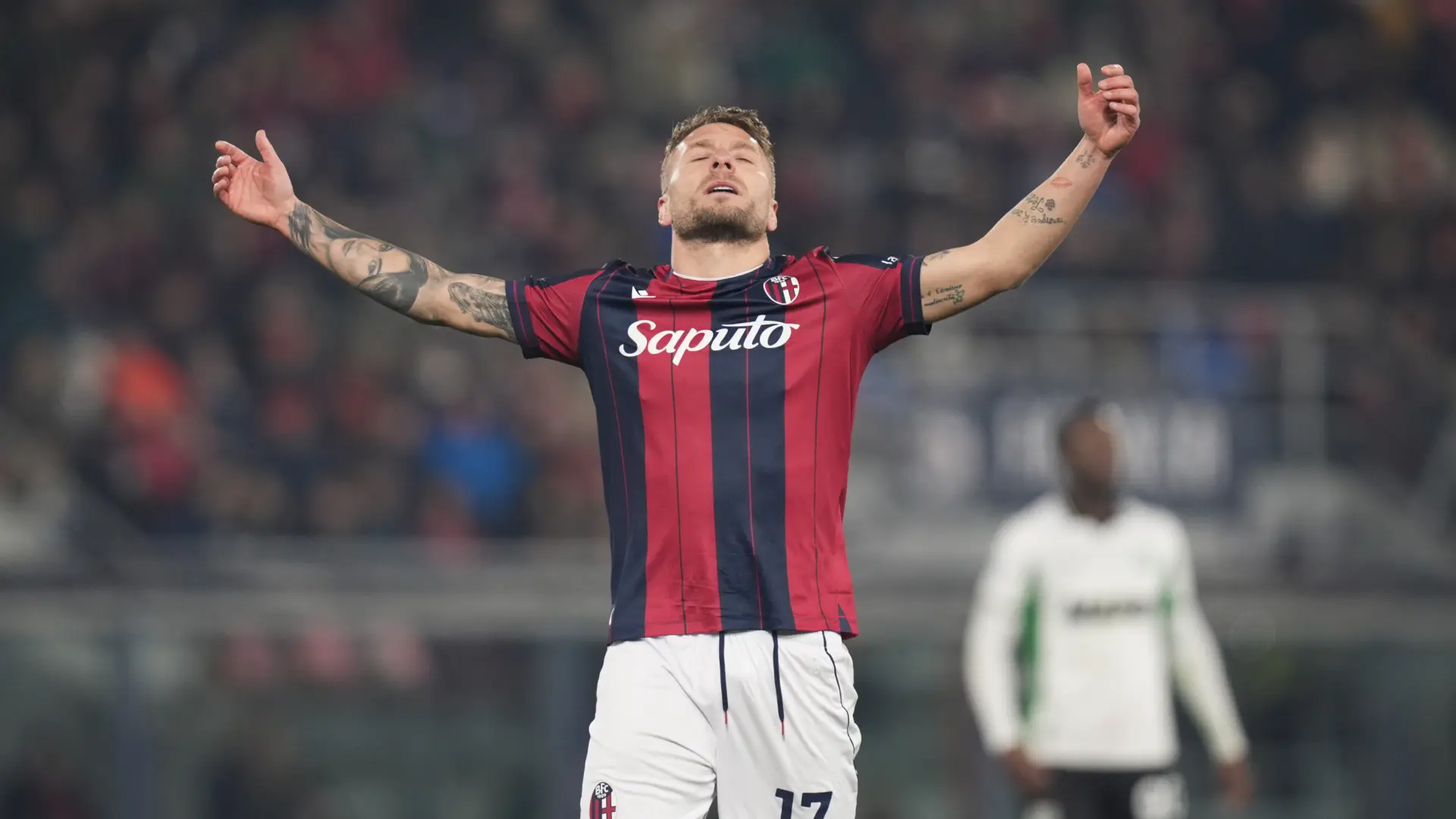 Ćiro Imobile-697e2368e0a46.webp