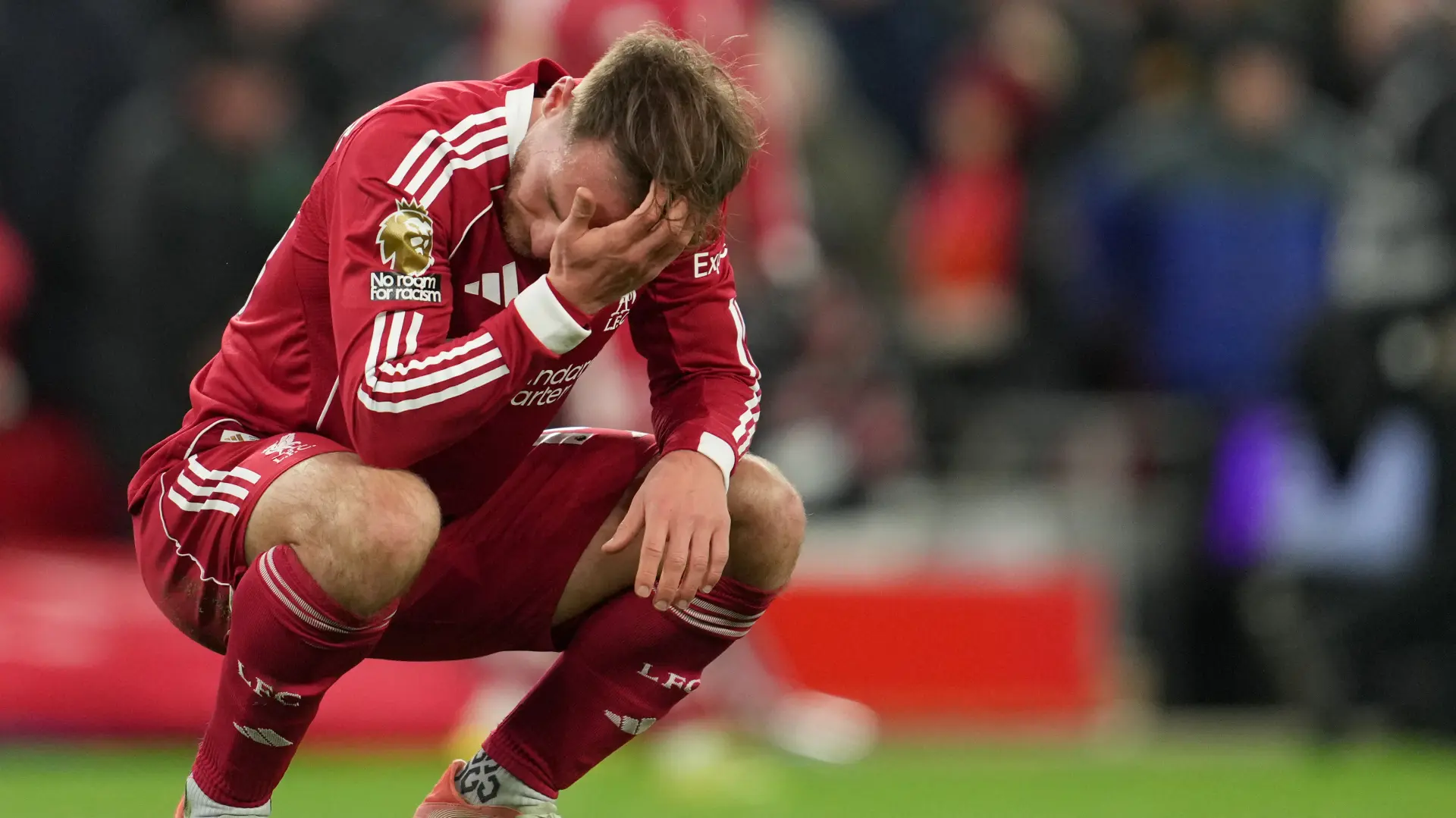 Alekis Mekalister-6956ce3c8e410.webp