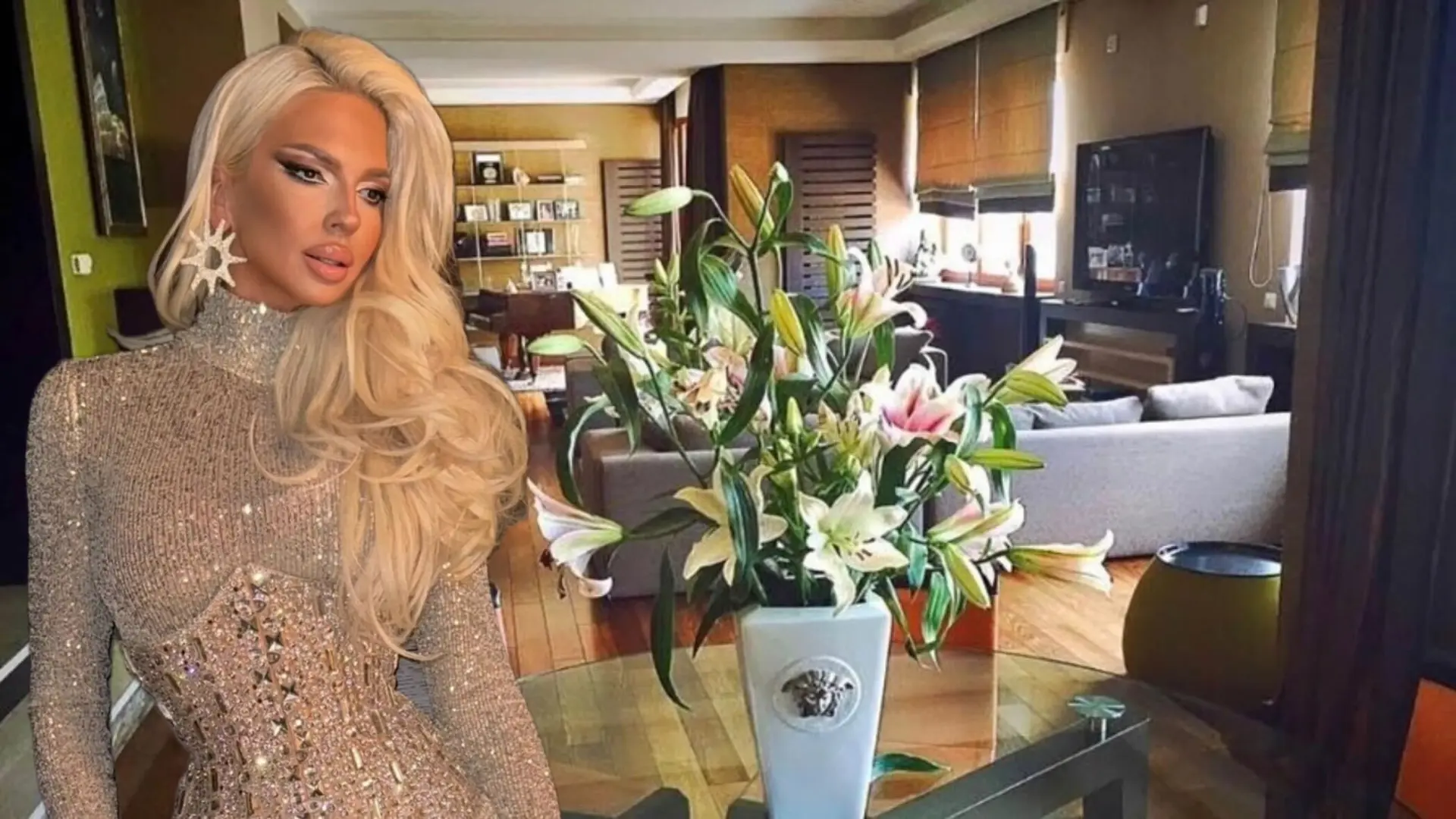 Faceboook printscreen, Jelena Karleuša kuća kuća jelene karleuše-6971feff1735b.webp