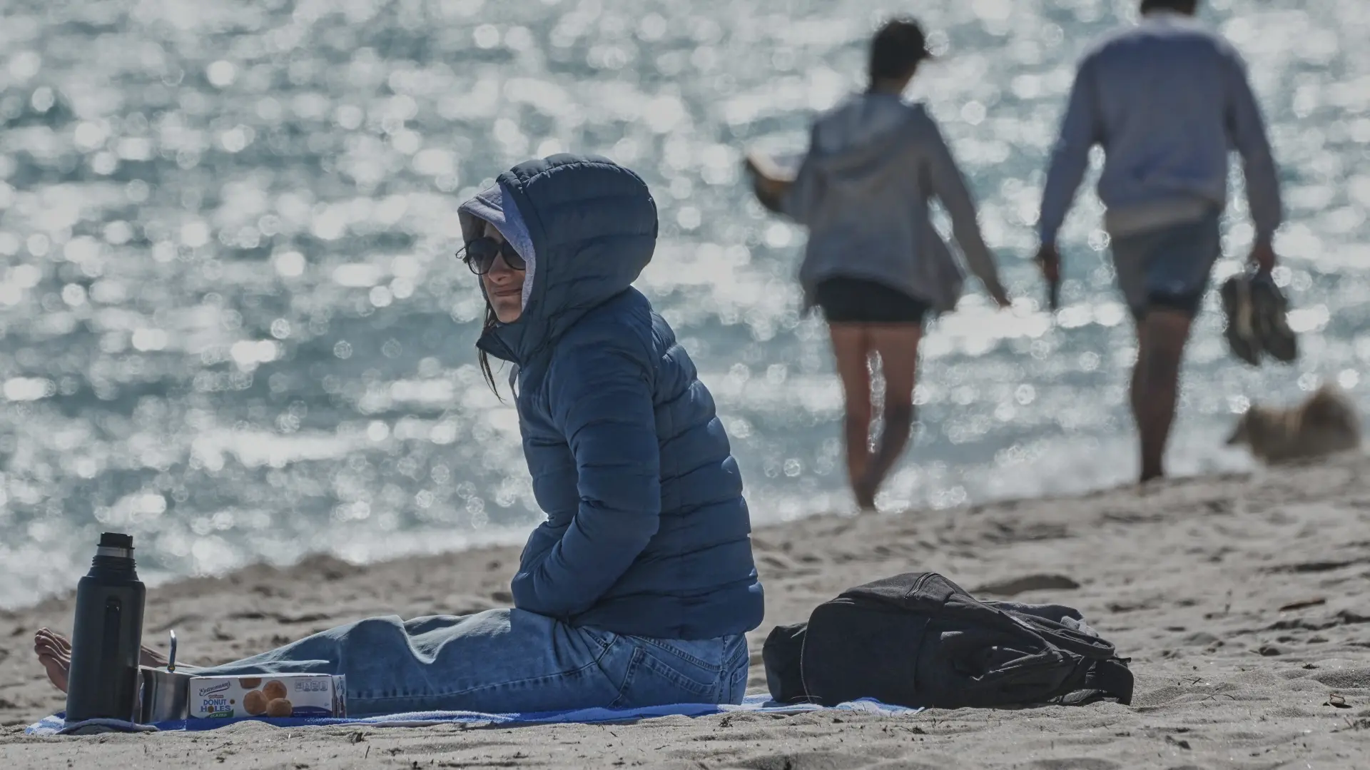 Florida zima mraz-697e4a9e00c84.webp