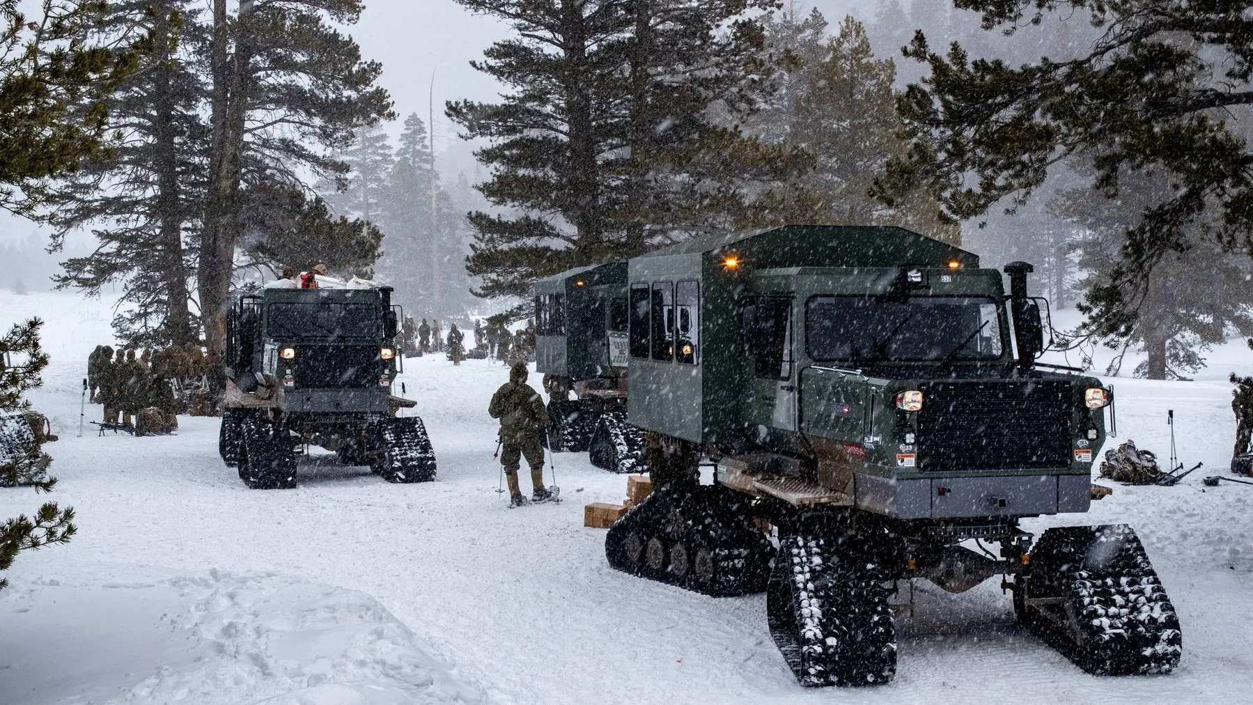 NATO vojska američka vojska profimedia-0979995863-696365231241e.webp