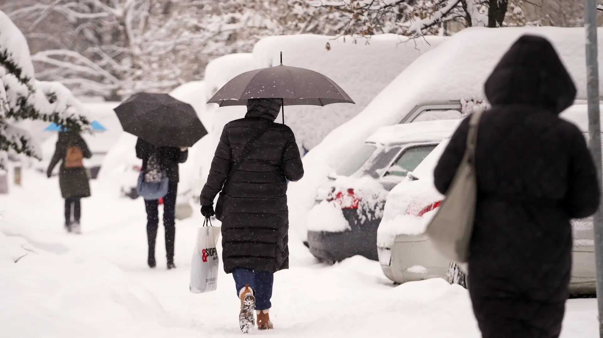 TANJUG JADRANKA ILIĆ sneg vreme beograd zima hladnoća-6964cc0971640.webp