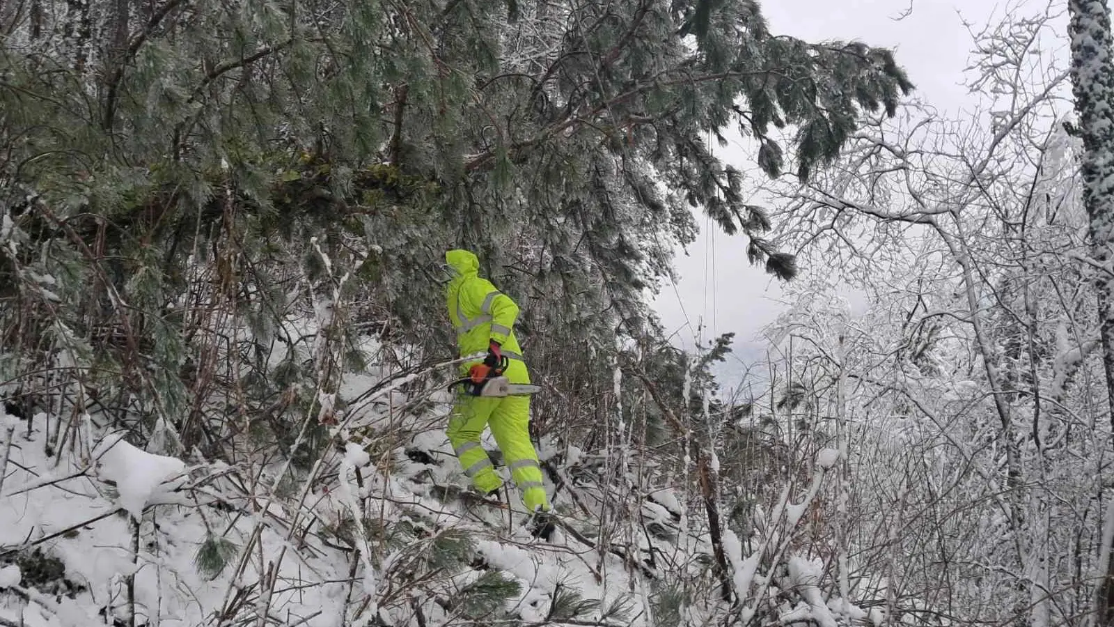 TANJUG, Valjevo, Loznica, sneg, vanredna situacija-695fc5c65c623.webp