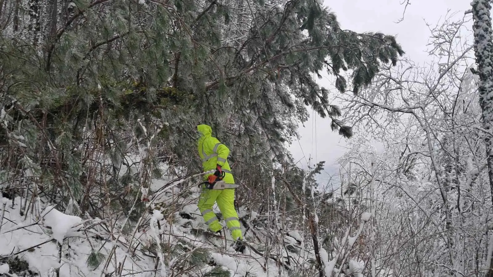 Tan2026-01-0716384693_9 valjevo sneg elektrodistribucija zima eds-6960f1aab528b.webp