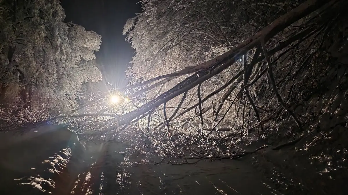 elektrodistribucija srbije, eds, sneg, struja, isporuka struke električne energije, strujni kablovi, kvar na elektro mreži, monteri - 11 jan 2026 - TANJUG ELEKTRODISTRIBUCIJA SRBIJE (2)-6963b2462f84b.webp